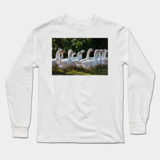 Gaggle walking Long Sleeve T-Shirt